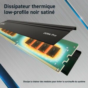 Alternative view of CRUCIAL PRO 64G (2x32G) DDR4-3200 *CP2K32G4DFRA32A