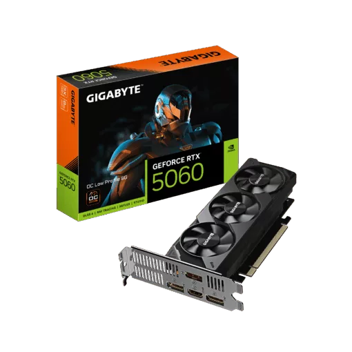 Gigabyte N5060OC-8GL