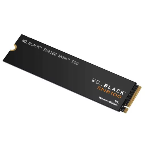 Western Digital SSD WD Blue SN8100  1To