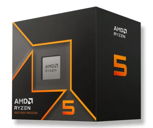 AMD Ryzen 5 9600