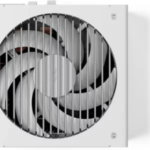 FRACTAL Ion 3 Gold 1000W White , EU Cord – Image 3