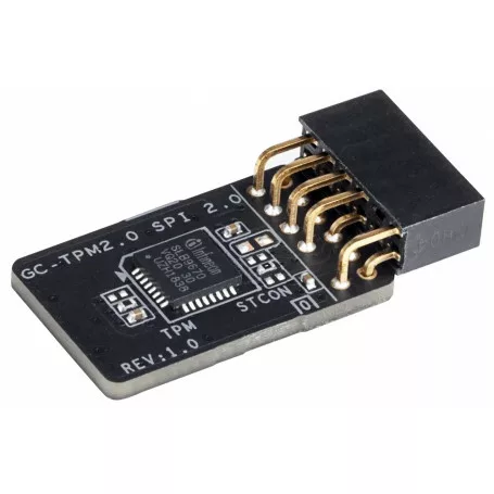 Gigabyte GC-TPM2.0 SPI V2 1.0