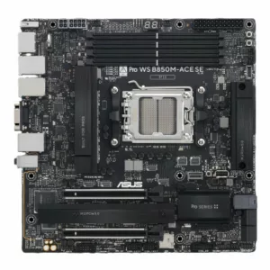 Alternative view of PRO WS B850M-ACE SE