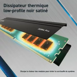 Alternative view of CRUCIAL PRO 32G (1x32G) DDR4-3200 Tray *CP32G4DFRA32AT